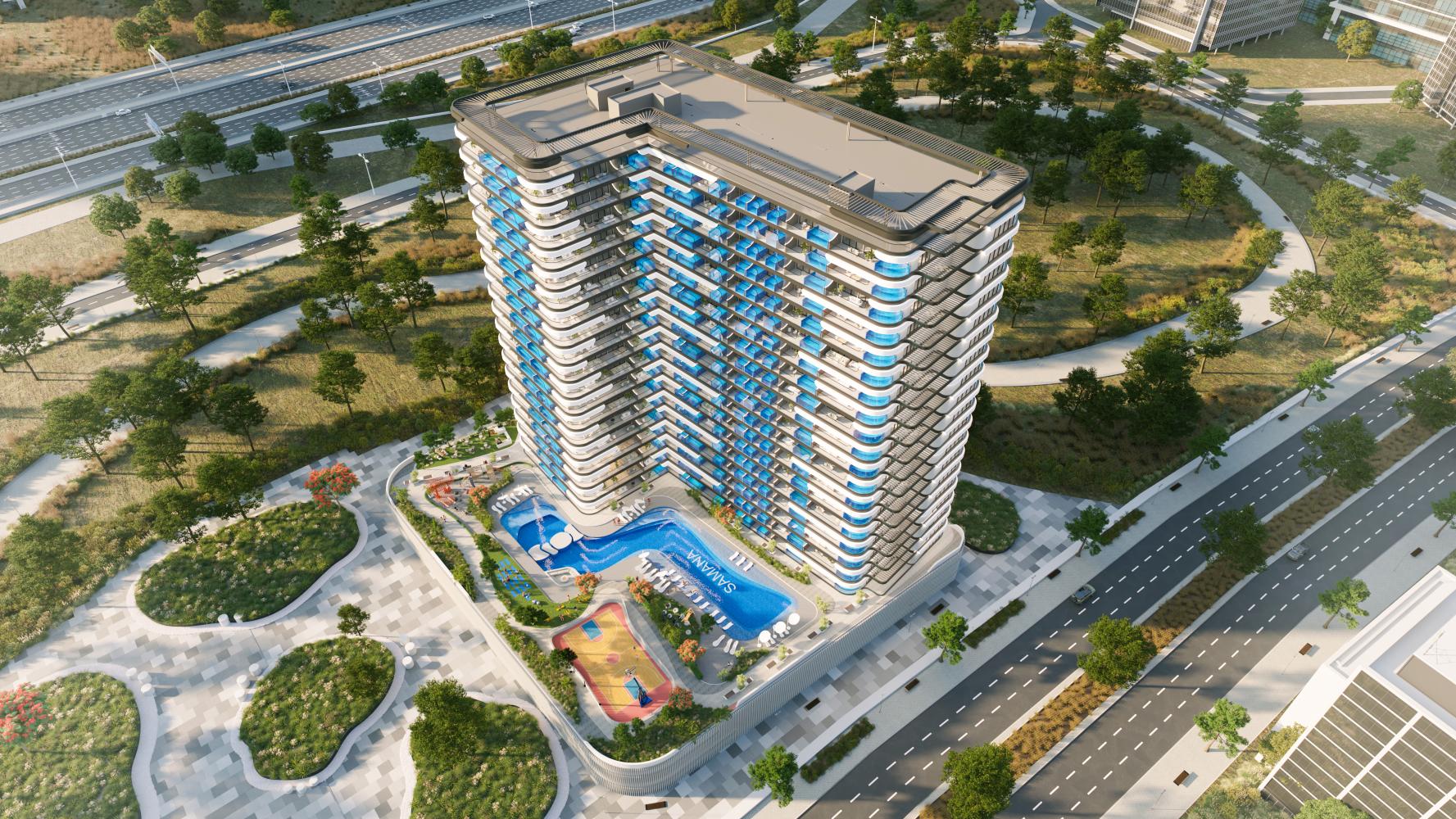 Developer Image
